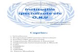 Institutiile Specializate Ale ONU