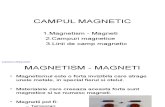 C¢mpul Magnetic