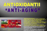 Antioxidant i i