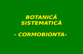 Botanica Sistematica - Cormobionta