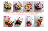 Cosulete cu flori naturale pentru inceputul anului scolar