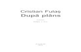 Dupa plans - Cristian Fulas - cdn4. plans - Cristian Fulas.pdf¢  Cristian Fu10¢§ De aici trebuie pornit,
