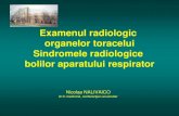 Examenul radiologic organelor toracelui Sindromele ... Examenul radiologic organelor toracelui Sindromele