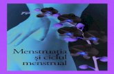 Menstrua¨â€ia ¨â„¢i ciclul menstrual - func¨â€ioneaz¤’ normal. Ciclul menstrual furnizeaz¤’ substan¨â€e chimice