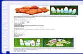 produse lactate si paine - Artego 2019-04-03¢  PRODUSE DE PANIFICATIE Paine alba 0,300 kg Paine alba