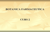 Curs2 Botanica