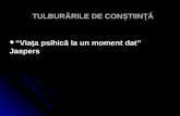 TULBURARILE+DE+CONSTIINTA+2011 (1)