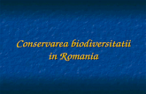 Conservarea Biodiversitatii in Romania