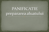 PANIFICATIE (1).ppt