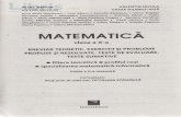 Matematica - Clasa 10 - Breviar teoretic (filiera ...cdn4. 10 Breviar teoretic (fil teoretica, real...¢ 