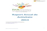 Raport Anual de Activitate 2013 - uri si training-uri folosind instrumente si metode de educatie non-formala
