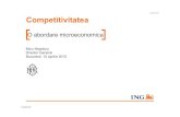 Prezentare Competitivitate MN.ppt [Read-Only] ¢â‚¬¢ politica de dezvoltare regional¤’ Procesulde transformareeconomica
