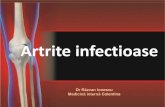 Artrite Influenta infectiei HIV pe alte boli reumatice ¢â‚¬¢Artrita septica: rara; Staf, Strepto, oportunisti,