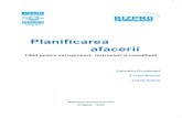 planificare afacere