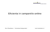 2011.05.30 Doru PANAITESCU Eficienta in Campaniile Online