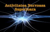 Activitatea Nervoasa Superioara