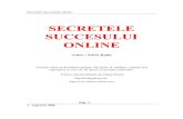 Secretele Succesului Online