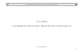 Competente Manageriale