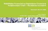 Stabilitatea Financiarƒ i Raportarea Financiarƒ ... Stabilitatea Financiarƒ i Raportarea