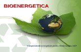 Bio Energetic A