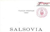 Vasile P¢rvan, Salsovia