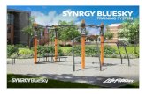 Synrgy360 BluesSky - fitness in aer liber