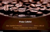 Piata Cafelei- prezentare