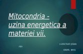 Mitocondria - uzina energetica