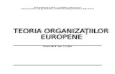 Teoria Organizatiilor Europene