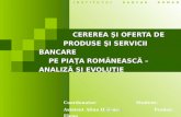 Cererea si oferta de produse bancare pe piata romaneasca - Evolutie