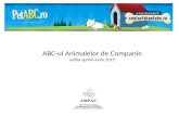 ABC-ul Ingrijirii Animalelor de Companie - Prezentare
