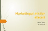 3.Marketingul Micilor Afaceri