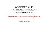 Aspecte ale parteneriatelor sinergetice in contextul Dezvoltarii Regionale