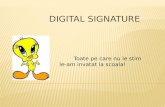 Digital signature2011