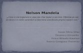 Nelson Mandela Frincu Mihaela Hanelore